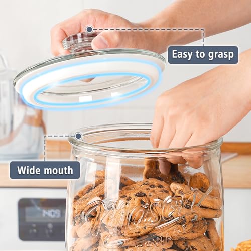 Folinstall 2 Pack 1 Gallon Glass Cookie Jar, Large Glass Jar with Airtight lid, Glass Food Storage Container for Cookies, Candy, Flour, Dog Treats, Coffee, Apothecary Jars - size: 1 Gallon/2 Pack