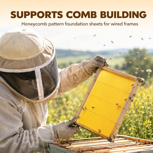 QalryXen 30Pcs Beeswax Sheets, Premium Natural Foundation for Beekeeping & Candle Making, Easy to Use Beehive Wax Sheets for Honeycomb Frames, DIY Craft Supplies, 7.7x16.3 Inch