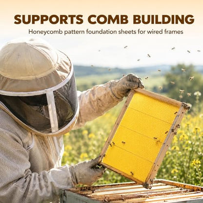 QalryXen 30Pcs Beeswax Sheets, Premium Natural Foundation for Beekeeping & Candle Making, Easy to Use Beehive Wax Sheets for Honeycomb Frames, DIY Craft Supplies, 7.7x16.3 Inch