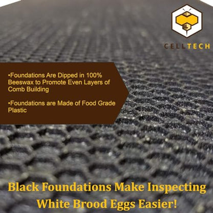 Hoover Hives Deep Wooden Frames with Black Plastic Foundations Coated in Beeswax – Durable Langstroth Beekeeping Frames