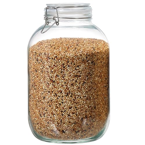 1 Gallon Glass Food Storage Jars with Airtight Lids, Set of 1 – Clear Preserving Seal Wire Clip Fastening Canisters for Kitchen Canning, Flour, Cereal, Pasta, Sugar, Beans, Pickling Jars (1gallon*1) - size: 1gallon*1