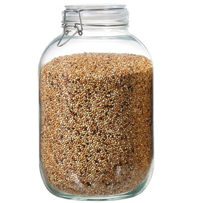 1 Gallon Glass Food Storage Jars with Airtight Lids, Set of 1 – Clear Preserving Seal Wire Clip Fastening Canisters for Kitchen Canning, Flour, Cereal, Pasta, Sugar, Beans, Pickling Jars (1gallon*1) - size: 1gallon*1