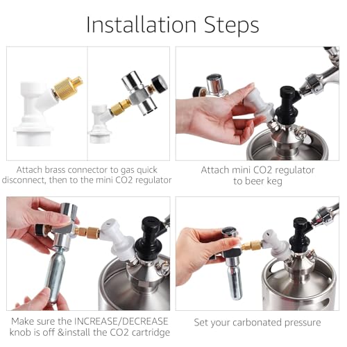 Hold Stable Pressure 0-60 PSI Mini Keg Regulator, No Leaking Portable Cornelius Corny Beer Growler Outdoor Picnic Party Carbonation CO2 Gas Ball Lock Disconnect Mini keg Charger Regulator