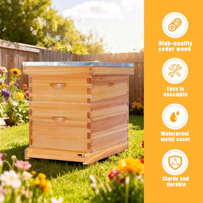 POLLIBEE 8 Frame Beehive Beeswax Coated Langstroth Bee Hives Include 1 Deep Boxes and 1 Medium Bee Box with Beehive Frames and Foundations(Unassembled) - size: 8 Frame-2L