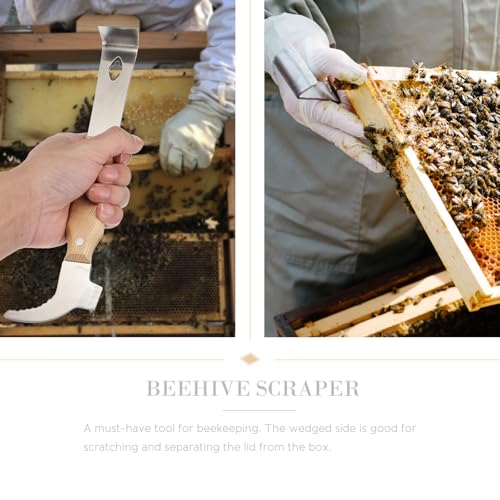 Beaupretty Multi-Functional Stainless Steel Beehive Scraper and Hive Frame Lifter with Wooden Handle, Thickened Beekeeping Cleaning Tool for Professional Hive Maintenance