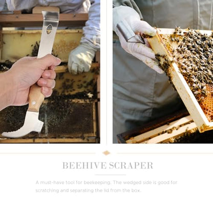 Beaupretty Multi-Functional Stainless Steel Beehive Scraper and Hive Frame Lifter with Wooden Handle, Thickened Beekeeping Cleaning Tool for Professional Hive Maintenance