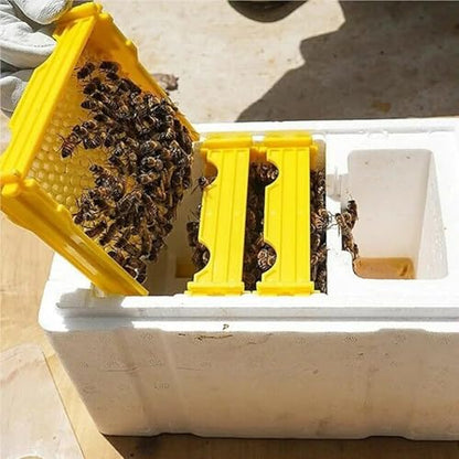 Nuc Box for Bees Queen Bee Breeding Box Bee Rearing Mating Box Foam Beehive Pollination Box Beekeeping Tools Breeding Case Beekeeping Equipment
