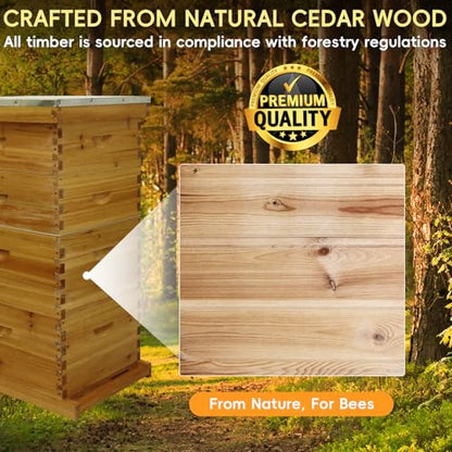 10-Frame Langstroth Bee Hive Beeswax Coated, Complete 4-Layer Beehive Starter Kit Includes 2 Deep Brood Boxes and 2 Medium Super Boxes with Bee Frames and Foundations - size: 4-Layer