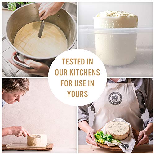 Country Trading Co. Cheese Molds Set of 3 for Making Blue and Hard Cheeses at Home - Quality Italian Baskets to Make Gorgonzola Colby Gouda Cheddar or DIY Organic Vegan Nut Cheese Maker - size: Set of 3