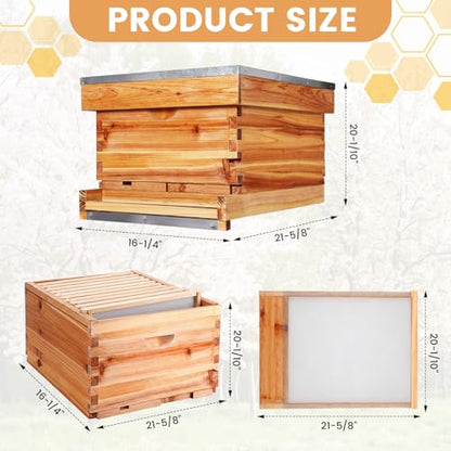 AceOrbit 10 Frame Bee Hive Kit with Wax-Coated Wooden Box Telescoping Cover Screened Bottom Board Beekeeping Supplies with Pull-Out Plastic Base and Entrance Reducer