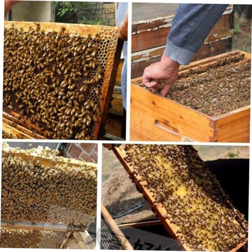 10Pcs Natural Beeswax Sheets Beekeeping Supplies Honeycomb Wax Foundation for Beehive Frames Apiary Equipment 16.33X7.67In