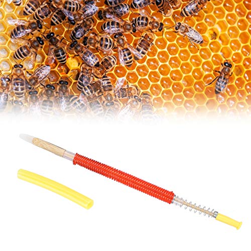 25 Piece Beekeeping Larvae Grafting Tool Kit with Horn Tongue and Spring Plunger, Stainless Steel Queen Rearing Needle for Apiculture and Beekeeping