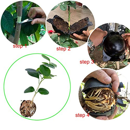 Tree Root Growing Box, Reusable Transparent Plants Asexual Reproduction Grafting Ball, High Pressure Air Layering Pods Propagation Kit (10pcs Meidum) - color: Black-m-10pack