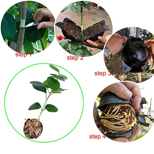 Tree Root Growing Box, Reusable Transparent Plants Asexual Reproduction Grafting Ball, High Pressure Air Layering Pods Propagation Kit (20pcs Small) - color: White-s-20pack