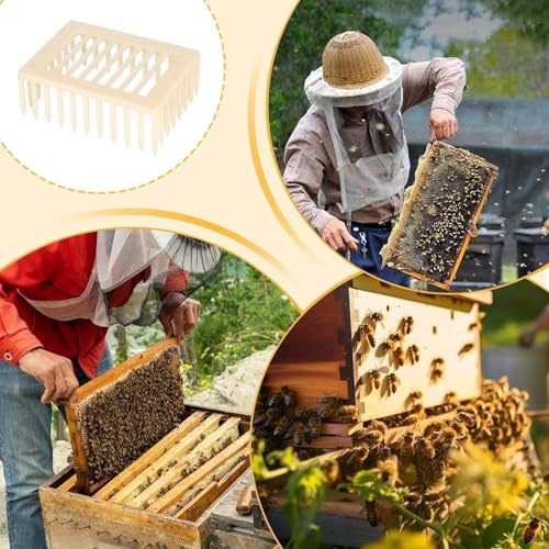 Cyrank Beekeeping Rearing Box, 20PCS Queen Marker Cage Clip Bee Catcher Beekeeper Beekeeping Tools Equipment Beekeeping Supplies Beekeeper Equipment Tool