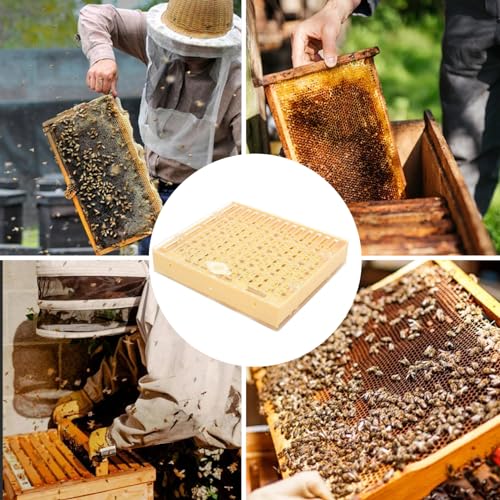 Queen Rearing Kit Complete Beekeeping Starter Kit Including Queen Rearing Box, Cell Cups, Beekeeping Moving Grafting Tools Queen Excluder, Perfect Beekeeping Kit for Beekeeper Gift Queen Rearing Kit
