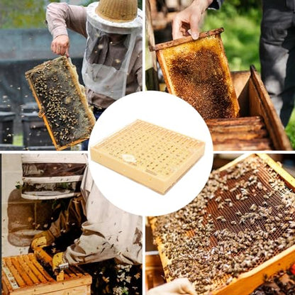 Queen Rearing Kit Complete Beekeeping Starter Kit Including Queen Rearing Box, Cell Cups, Beekeeping Moving Grafting Tools Queen Excluder, Perfect Beekeeping Kit for Beekeeper Gift Queen Rearing Kit