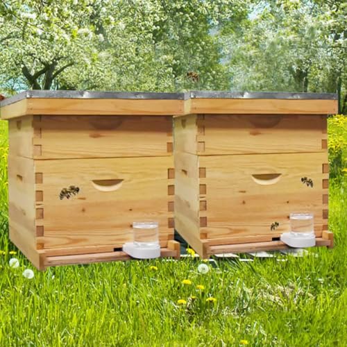 4 Pack White Bee Hive Entrance Feeder with Lid, Outdoor Bee Sugar Syrup Water Feeder, Universal Beekeeping Feeding Tool Compatible with Most Beehives