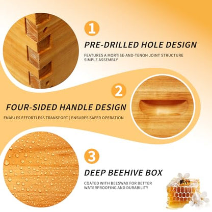 2 Pack Beehive Deep Brood Box 10 Frame Langstroth Deep Brood Bee Hive Box Beekeeping Supplies
