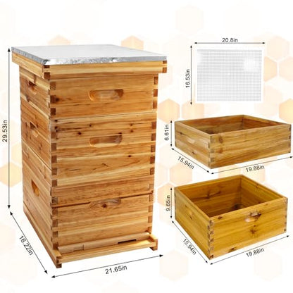 10-Frame Bee Hive Starter Kit – 100% Beeswax Coated, Langstroth Beehive with 2 Deep Boxes & 1 Medium Super, Solid Fir Wood Includes Metal Top Cover & Queen Excluder (No Frames) for Beginner Beekeepers