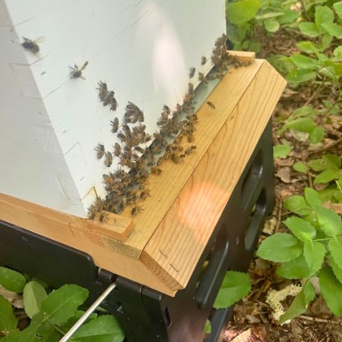 Harvest Lane Honey WWSB-102 Screened Bottom Board