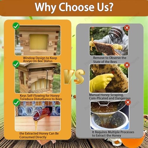 Bee Hive Starter Kit with 4 Frames,Wooden Beehive Box with Observation Window, Complete Honey Bee Hive Kit for Backyard Beekeeping Natural Wood Color