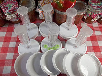 6 Pickle Pusher Small Batch Fermentation Kits. Complete with Airlock and Weight-Replacement. BPA Free. Includes extra lids. Fits Wide Mouth Mason Jars