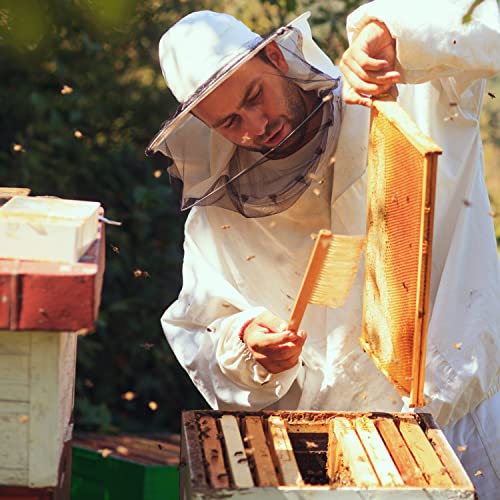 Stoney Acres Beekeeping Beehive Frame, Waxed Plastic Foundation, Deep Assembled, Honey Bee Hive, Amish Made