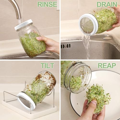 Organic Seed Sprouting Jar Kit – 2 × 32 oz Wide-Mouth Mason Jars with Stainless-Steel Sprouter Lids & Stand, Blackout Sleeves, Drain Tray – Grow Broccoli, Alfalfa & Bean Microgreens - color: White
