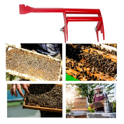Ergonomic Stainless Steel Beekeeping Scraper Tool with Colorful Handle for Comfortable Grip and Durability Rustproof Clip - color: Green
