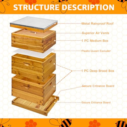3-Layer Langstroth Bee Hive Beginner-Friendly Beehive Starter Kit, 3 Boxes Included (2 Deep + 1 Medium) with Beeswax Coated, Easy Assembly for Easy Beekeeping Start