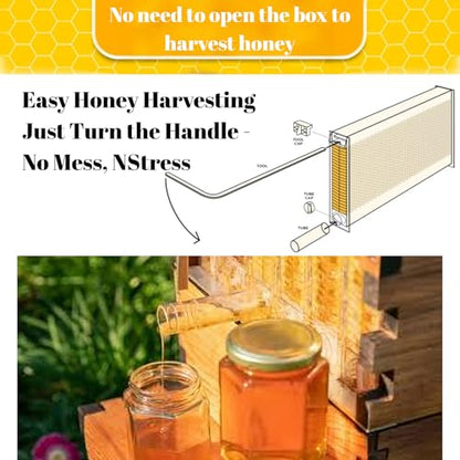 Bee Hive Starter Kit – Automatic Beehive Box Set for Easy Beekeeping, Complete Bee Hive Boxes for Beginners