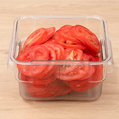 Restaurantware Met Lux 2 Quart Brine Buckets 10 Square Marinating Containers - With Volume Markers Built-In Handles Clear And Green Plastic Dough Rising Buckets Freezer-Safe Lids Sold Separately - size: 2 Quarts, style: 10 Count