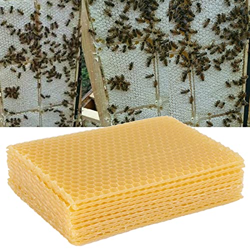 Bee Hive, 10PCS Yellow Beehive Frame Waxed Sheets Multi Purpose Beekeeping Beeswax Beehive Wax Frame for Furniture Floor Polishing