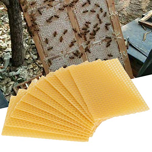 10Pcs Beekeeping Beeswax Foundation Beehive Wax Frame, Yellow Beehive Wax Coated Foundation Sheet, Portable Waxed Foundation Sheets for Beehive Medium Frames