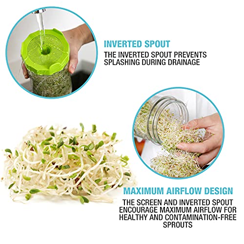 Masontops Mason Jar Bean Sprouting Jar Starter Set - Easy DIY Bean Sprout Kit with Organic Seeds, Sprouting Lids, Complete Bean Sprouts Grow Kit - size: Single Jar Kit (1 Jar, 1 Screen, 1 Seed Mix)