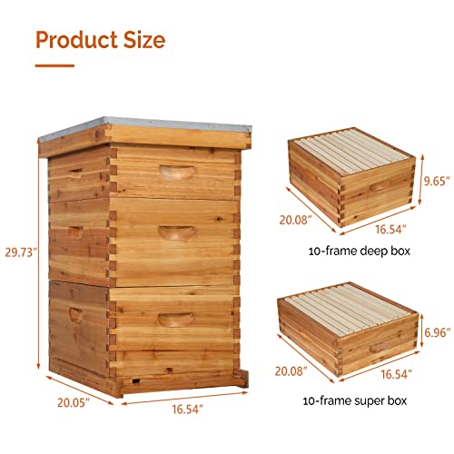 VINGLI 10-Frame Bee Hive, Wax Coated Beehive Starter Kit with Frames & Beeswax Coated Foundation Sheets (3 Layer) - style: 3 Layer
