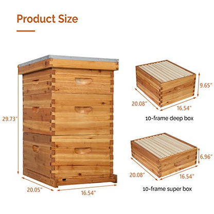VINGLI 10-Frame Bee Hive, Wax Coated Beehive Starter Kit with Frames & Beeswax Coated Foundation Sheets (3 Layer) - style: 3 Layer