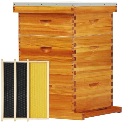 10-Frame Langstroth Beehive Beeswax Coated, 3 Layer Complete Bee Hive Kit Include Bee Frames and Waxed Foundation Sheets for Beekeeping (2 Deep Boxes & 1 Medium Box)