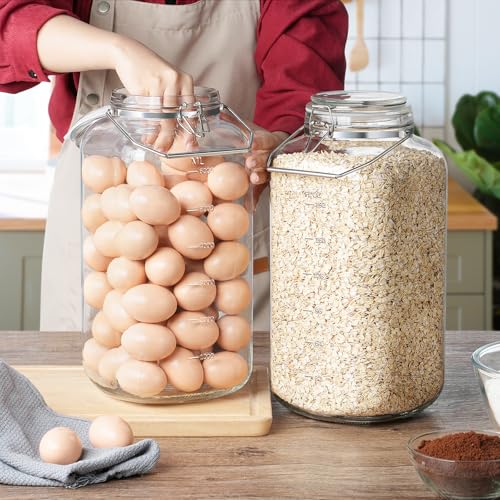 2 Gallon Glass Jar with Airtight Lid, 1 Pack Glass Storage Jars with Sturdy Stainless Steel Handle(256 FL Oz), Wide Mouth Jar, Flour Sugar Storage Containers for Rice, Cereals, Oats, Flour