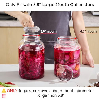 Jillmo Fermentation Weight for 3.8'' Opening Gallon Jars, Large and Heavy Glass Fermenting Weights for Making Sauerkraut, Kimchi, Carrots, 3.7inch, Pack of 2 - size: Bamboo - 2 Pack