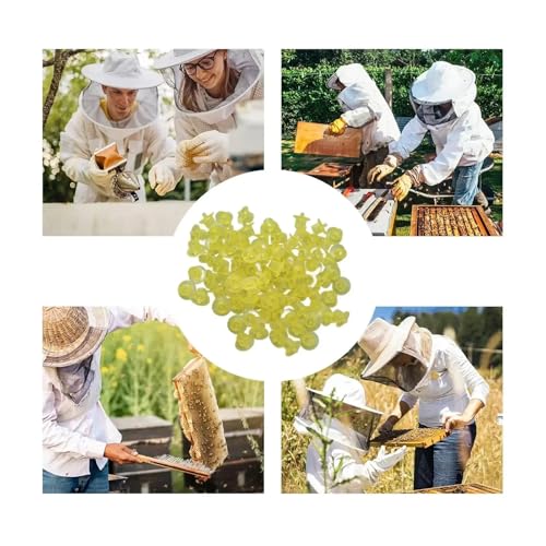 300PCS Queen Bee Rearing Cup Plastic Vivid Color Beekeeping Bee Cell Cup for Beekeeper Equipment Bees Tools(Yellow) - color: Yellow
