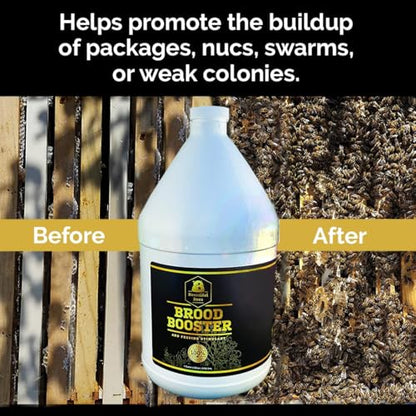 Bee Healthy Honey Bee Feeding Stimulant (1 Gallon) - size: 1 Gallon