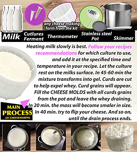 PetriStor 7pcs Cheese Making Kit Beginners №1 - Soft Cheese Molds + Cheese Mold with a Follower Piston - Cheese Making Supplies - Cream Cheese Form Mold Basket