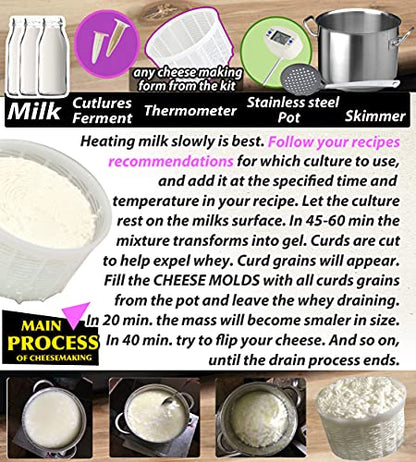 PetriStor 7pcs Cheese Making Kit Beginners №1 - Soft Cheese Molds + Cheese Mold with a Follower Piston - Cheese Making Supplies - Cream Cheese Form Mold Basket