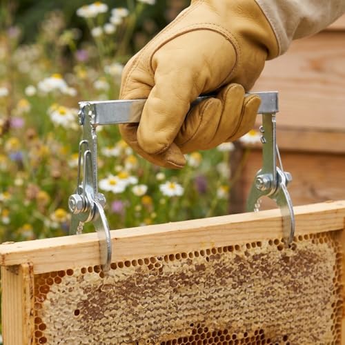 Beehive Frame Grip Clip, Zinc Plated Iron Beehive Comb Lifter, Beekeeping Frame Taking Accessory