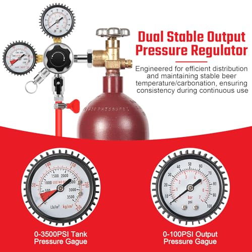 CGA580 Nitrogen Beer Regulator Nitrogen Tank Regulator, Dual Gauge Gas Regulator with 5Ft Beer Line, Nitrogen Keg Regulator with 2Pcs 5/16’’ Barbs Hose Clamps for Homebrew