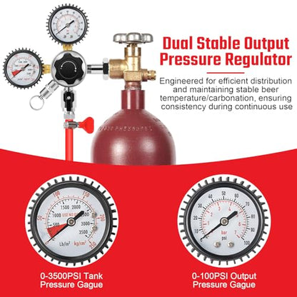 CGA580 Nitrogen Beer Regulator Nitrogen Tank Regulator, Dual Gauge Gas Regulator with 5Ft Beer Line, Nitrogen Keg Regulator with 2Pcs 5/16’’ Barbs Hose Clamps for Homebrew