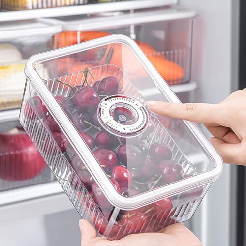 Cheese Container with Airtight Lid and Time Recording - Fridge Cheese Saver 丨NOT DISHWASHER SAFE 丨 - color: 1 PCS