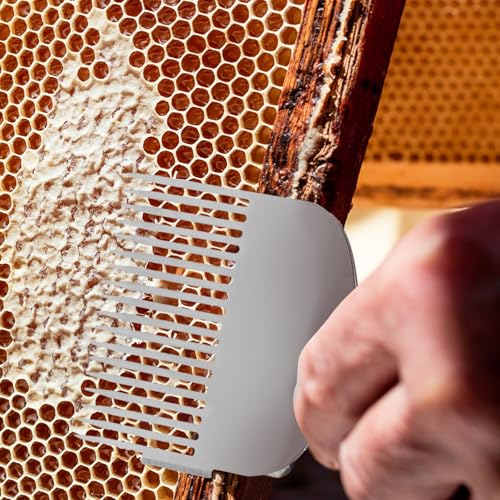 LABRIMP Beekeeping Honey Uncapping Fork and Honeycomb Scraper Tool Stainless Steel Hive Scraper for Beekeepers Honey Harvesting and Frame Cleaning